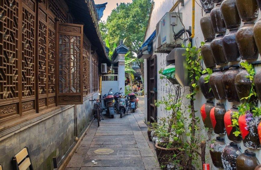 凤凰不好惹